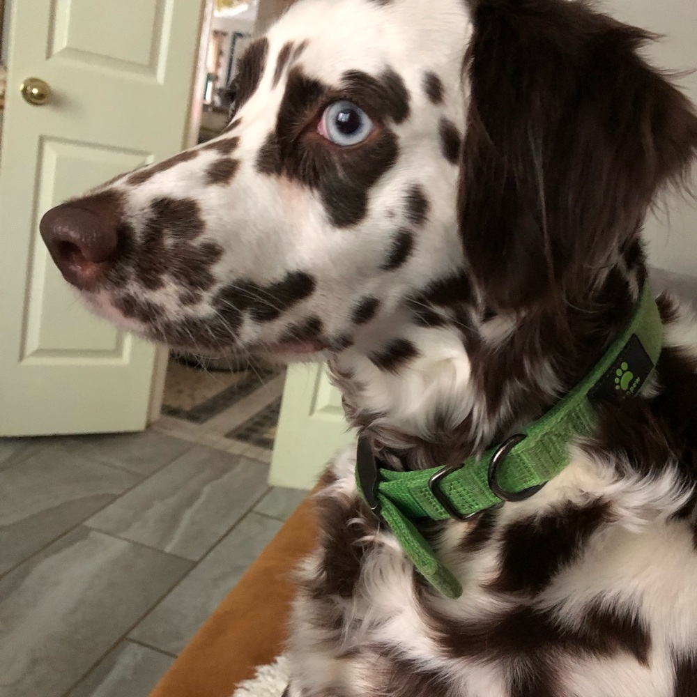 Meet your Posher, Almina